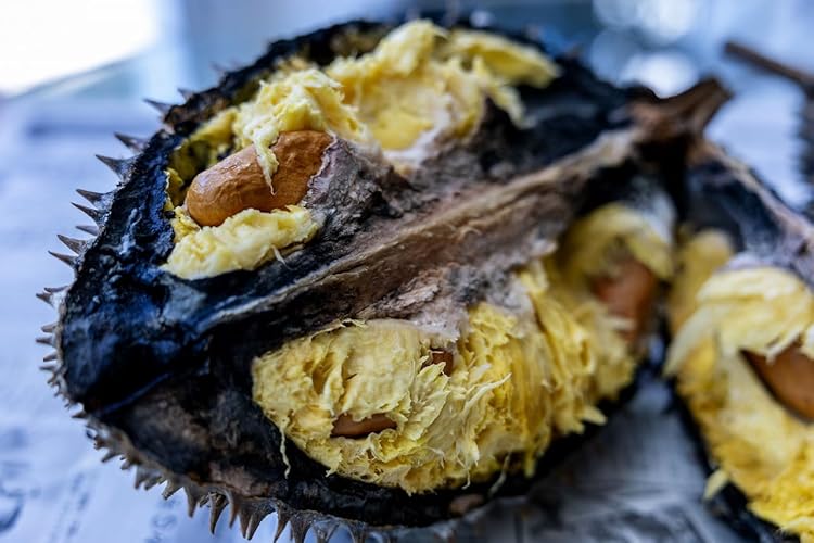Amazon.co.jp: タイ産 ドリアン 生鮮 フレッシュ 超大 フルーツ 榴蓮